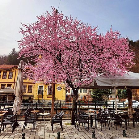 Center River Apartment Florina Esterno foto