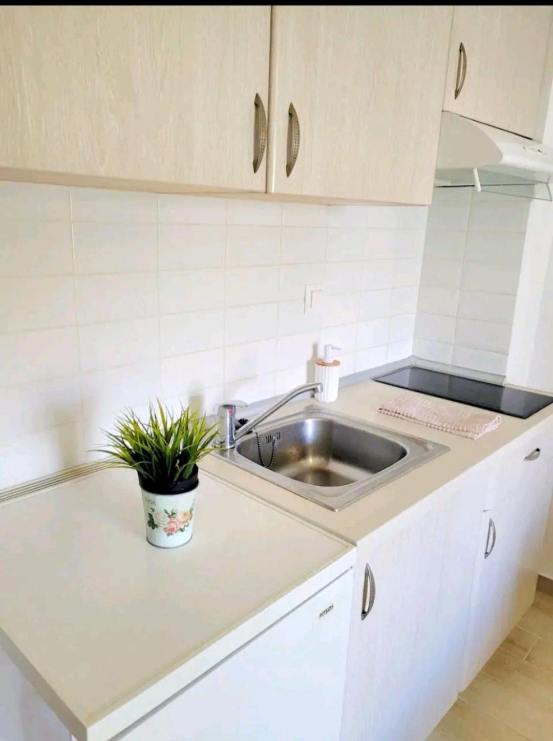 Center River Apartment Florina Esterno foto