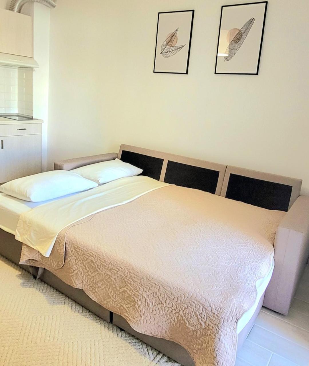 Center River Apartment Florina Esterno foto